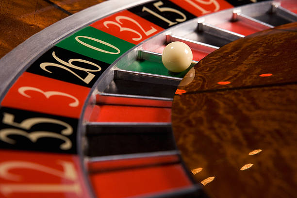 hometogel alternatif multi-sport dashboard